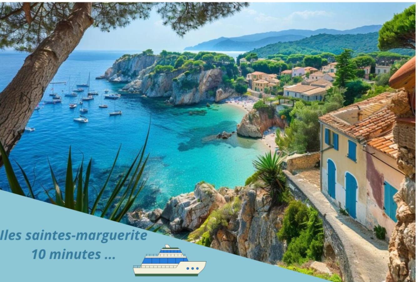 F3 Centre De Proche Du Palais * Cannes